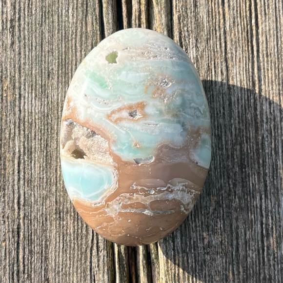 Caribbean Calcite Palm - Picture 1 of 5